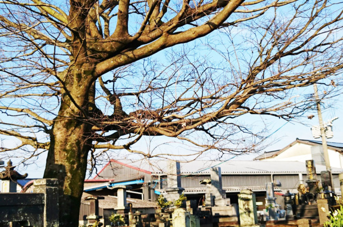 神社やお寺・墓地